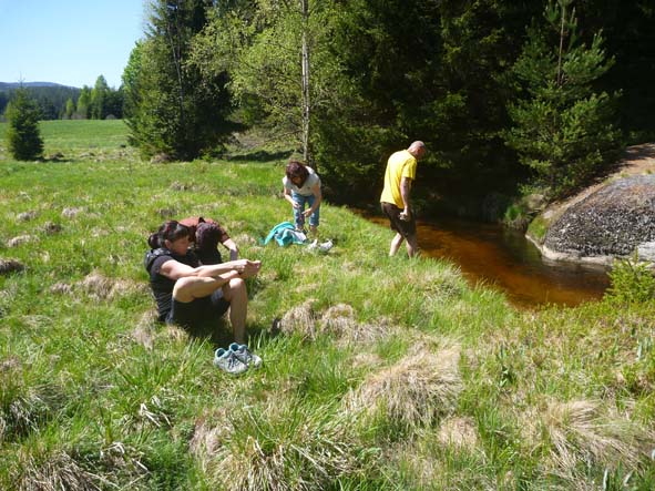 2018 05 Šumava Jelení Vrchy 173