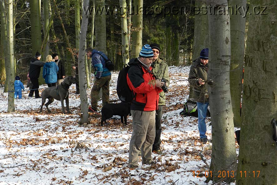 Mont Stramchyně 2013-21